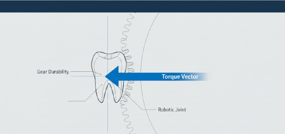 torque transmission