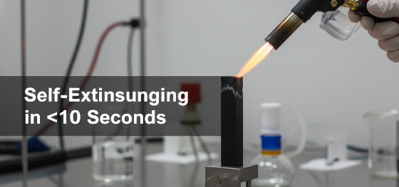 vertical burn test