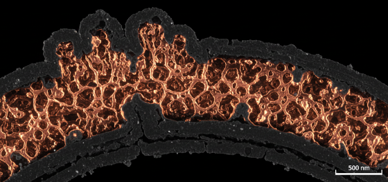 Magnified cross section showing copper chemically bonding into etched cavities of a solid polymer